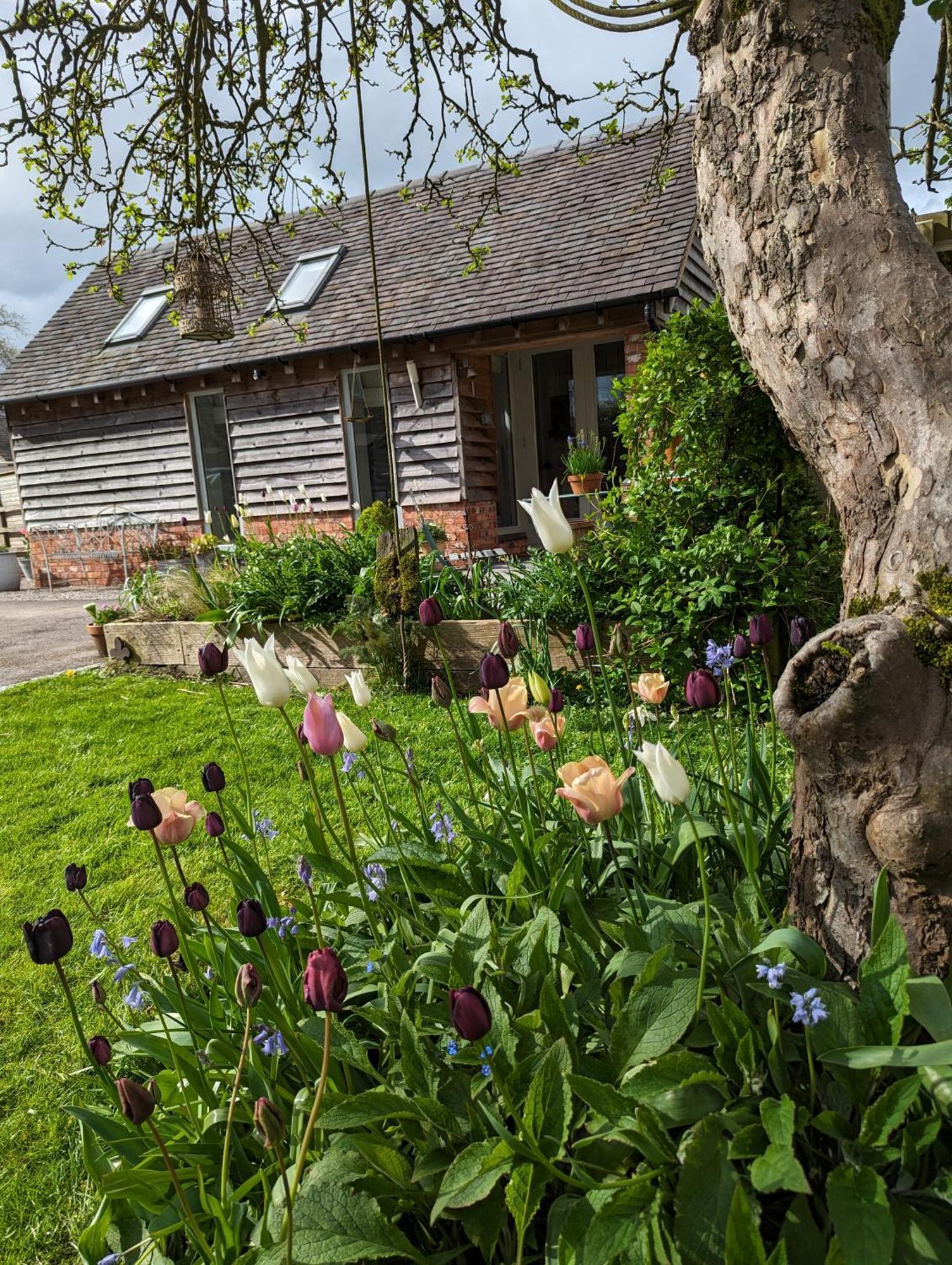 The Dorm Bed And Breakfast Eccleshall Exterior photo