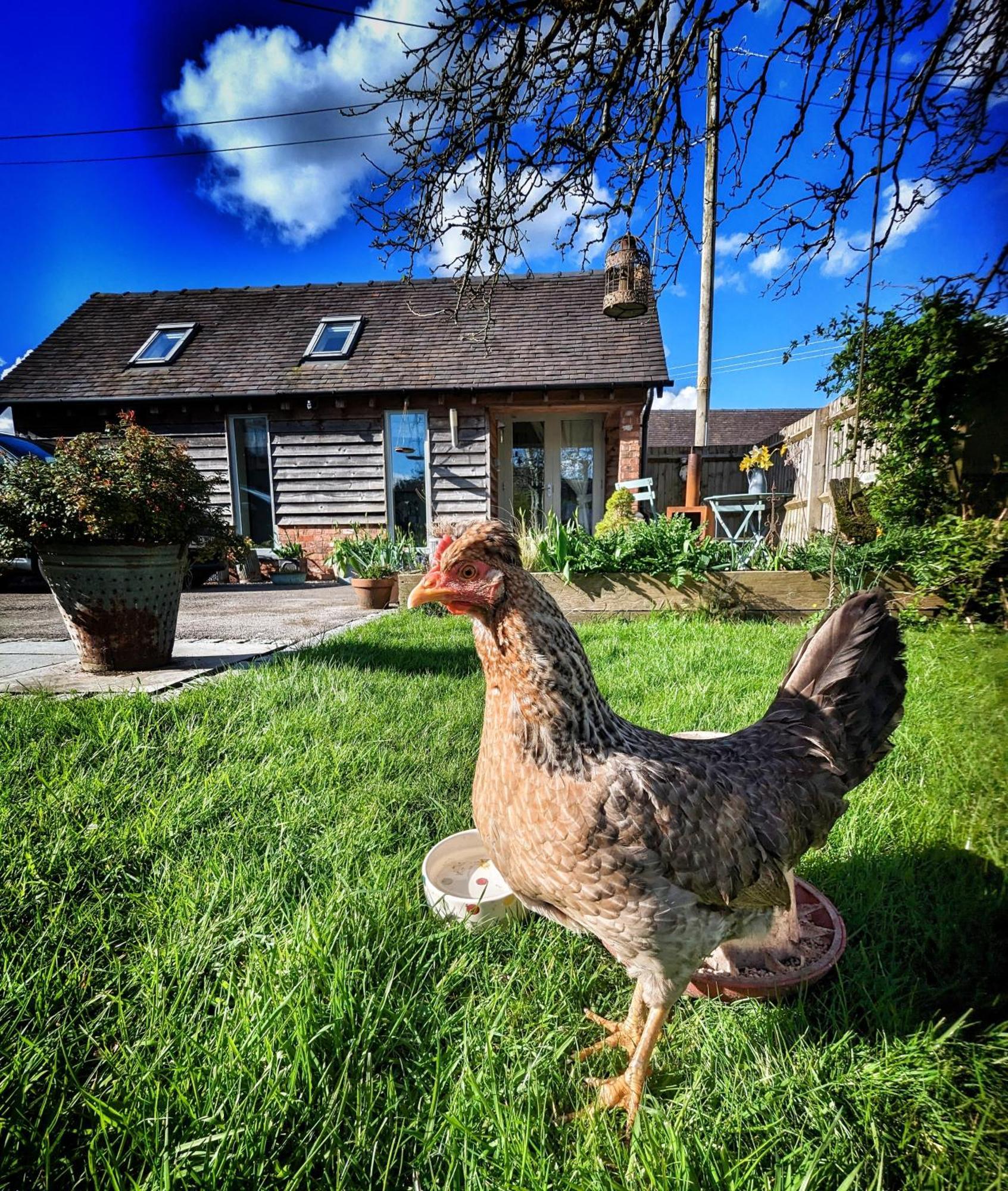 The Dorm Bed And Breakfast Eccleshall Exterior photo